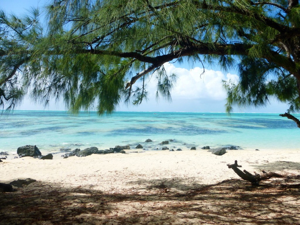 Ile aux Cerfs Mauritius