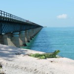 Florida Keys Urlaub
