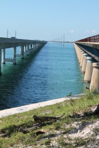 Florida Keys Highlights