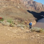 Throwback Thursday: Der Grand Canyon und die Frage aller Fragen