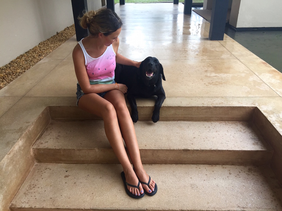 Hund Nero Amanwella Sri Lanka - Reiseblog ferntastisch