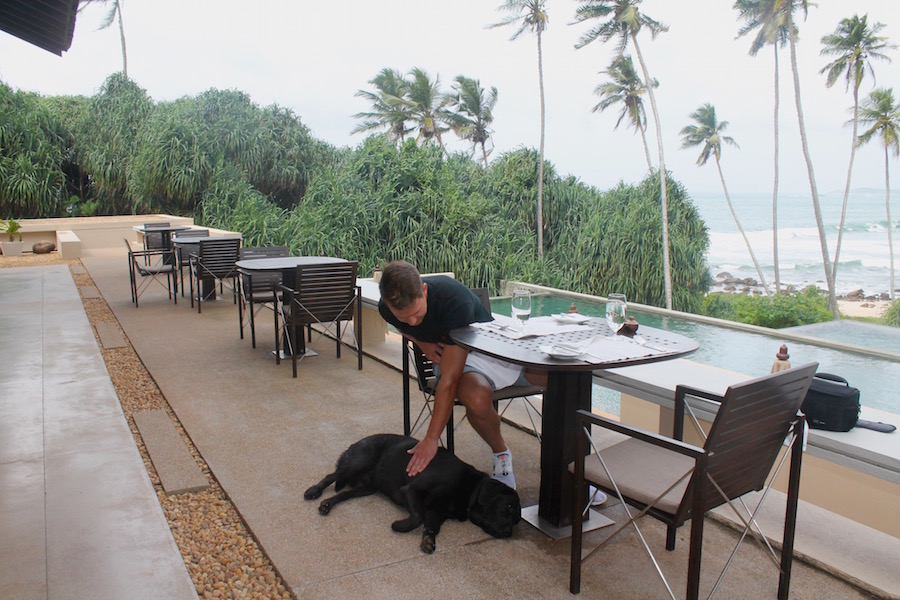 Hund Nero Amanwella Sri Lanka - Reiseblog ferntastisch