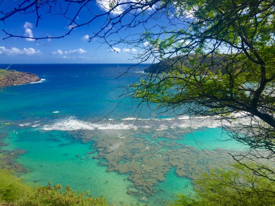 Hanauma Bay Oahu Hawaii - Reiseblog ferntastisch