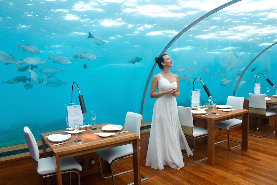 Unterwasserrestaurant Conrad Maldives Rangali Island Hilton Malediven - Reiseblog ferntastisch