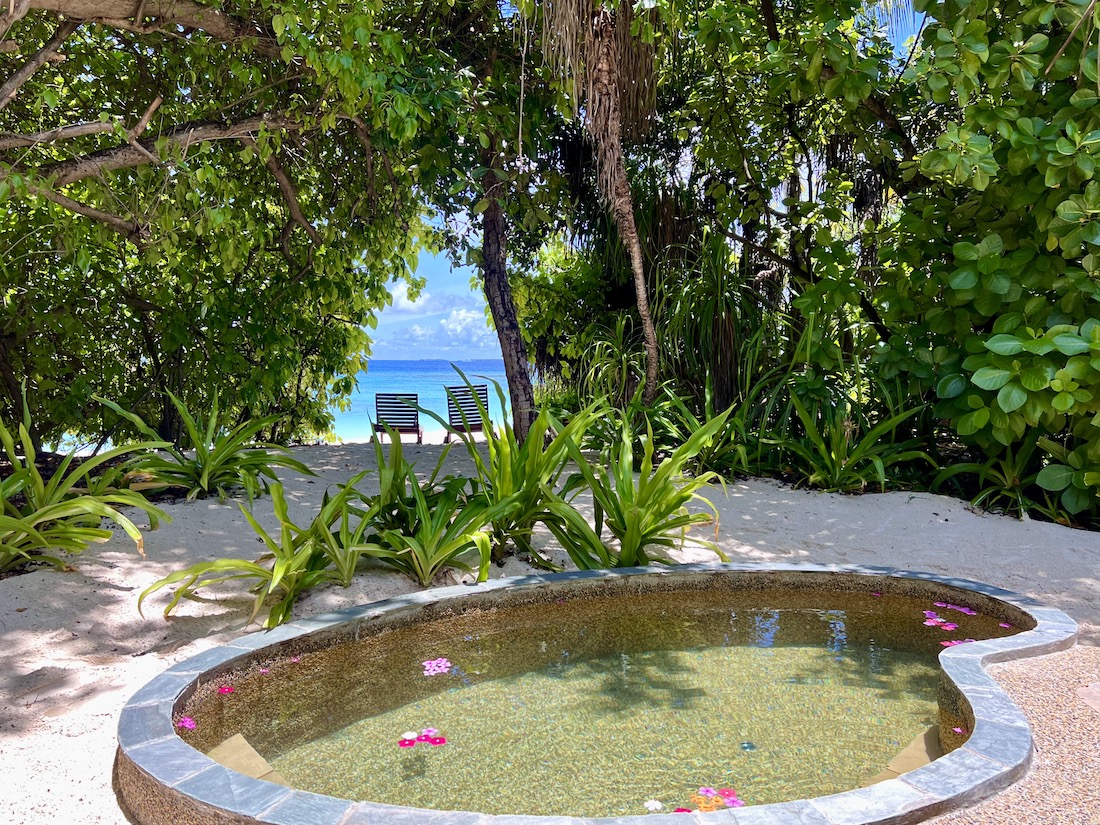 Coco Palm Dhuni Kolhu - Malediven Insel Natur Familie