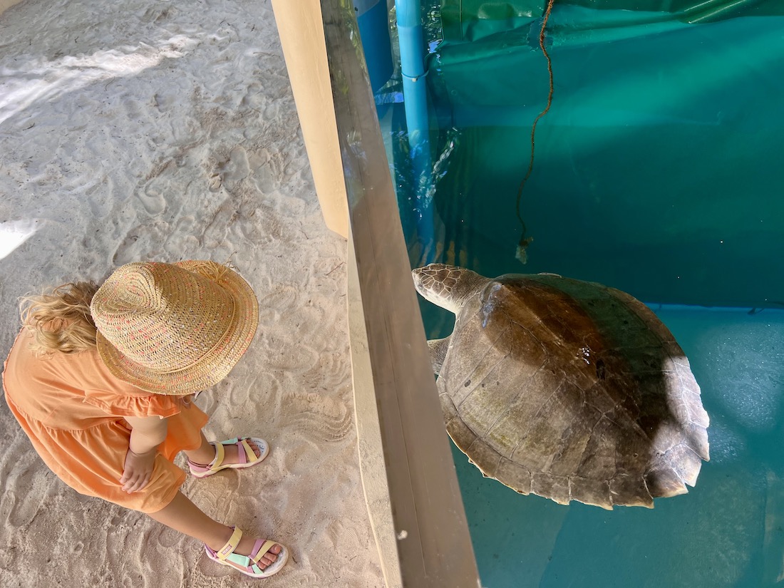 Coco Palm Dhuni Kolhu - Malediven Insel Natur Familie