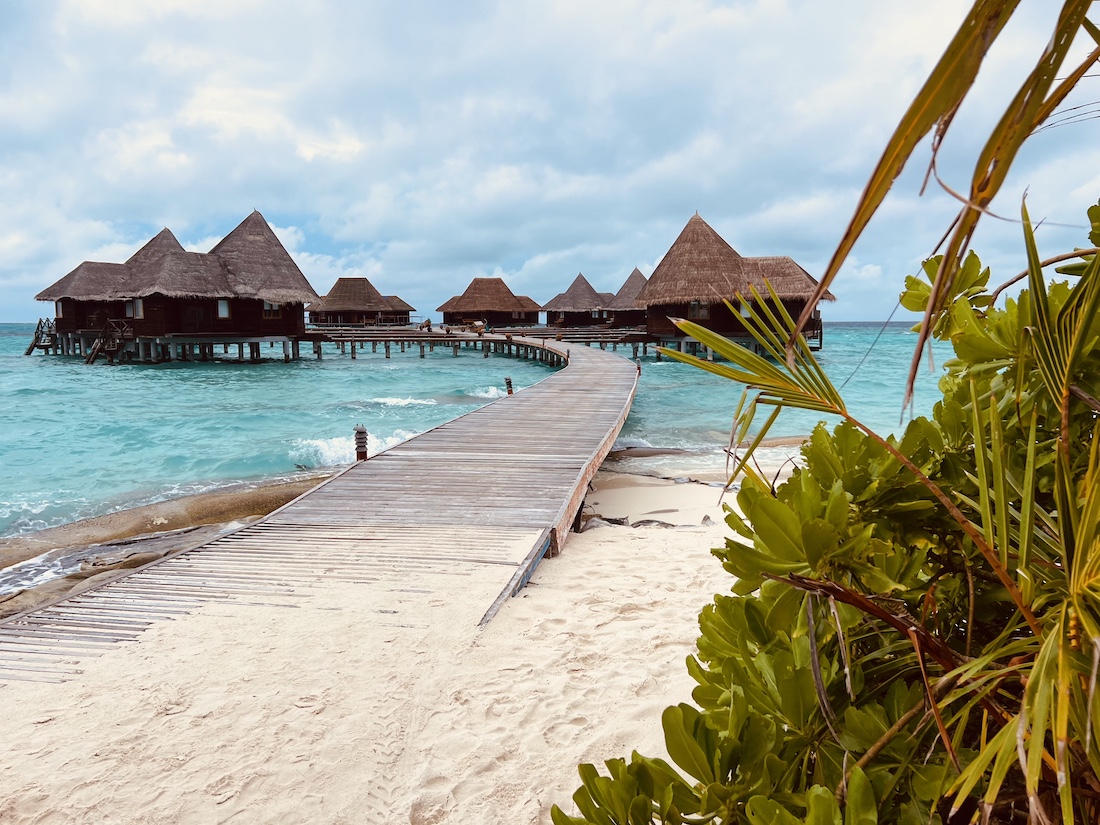 Coco Palm Dhuni Kolhu - Malediven Insel Natur Familie