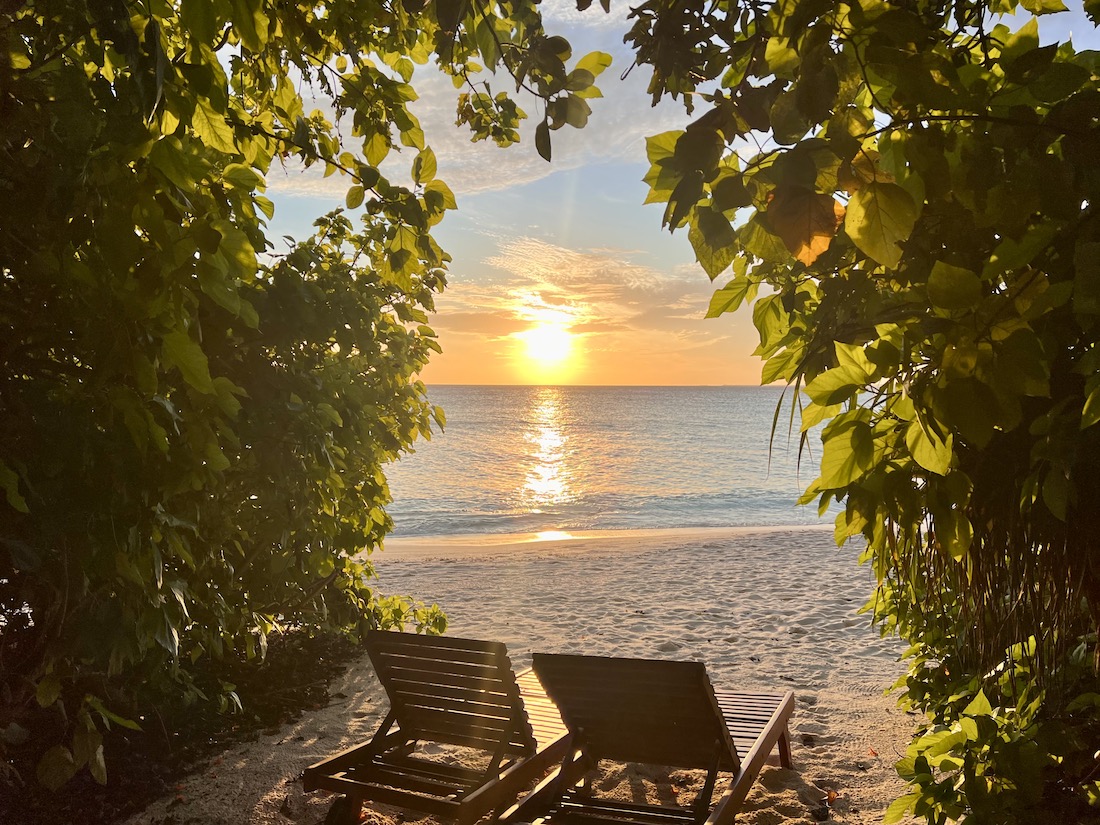 Coco Palm Dhuni Kolhu - Malediven Insel Natur Familie