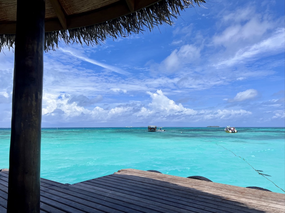 Coco Palm Dhuni Kolhu - Malediven Insel Natur Familie